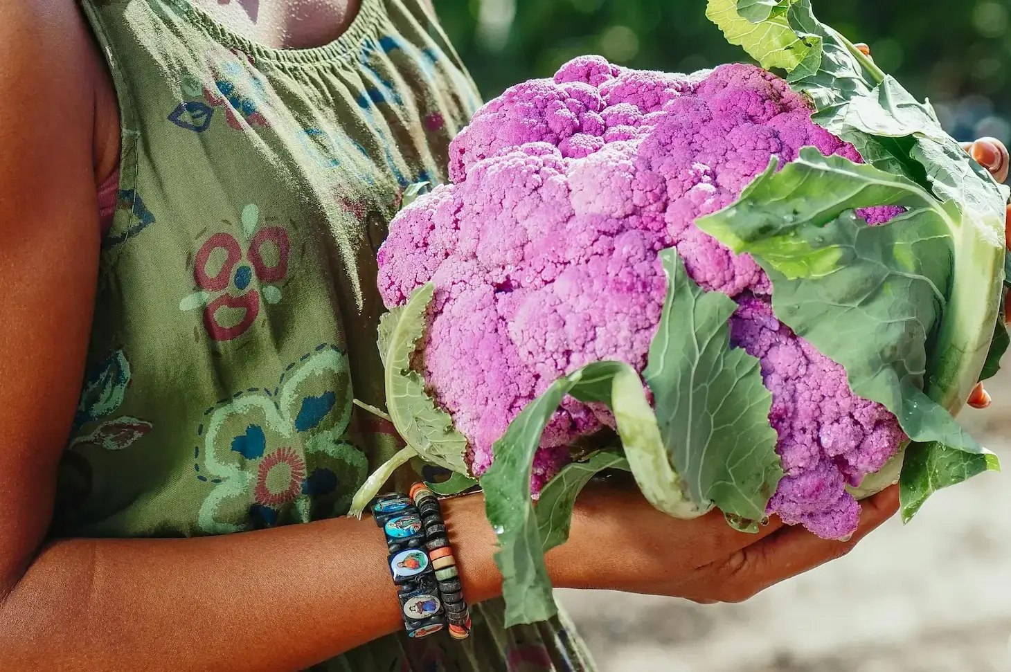 Growing Cauliflower